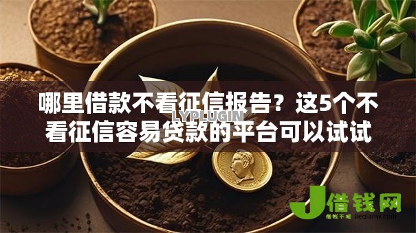 哪里借款不看征信报告?这5个不看征信容易贷款的平台可以试试 哪里借款不看征信报告?这5个不看征信容易贷款的平台可以试试