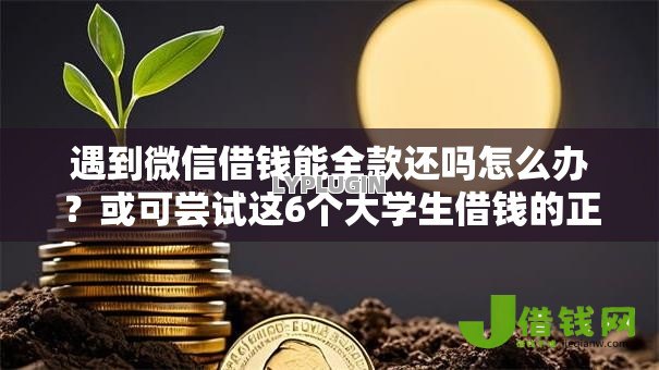 遇到微信借钱能全款还吗怎么办?或可尝试这6个大学生借钱的正规平台 遇到微信借钱能全款还吗怎么办?或可尝试这6个大学生借钱的正规平台