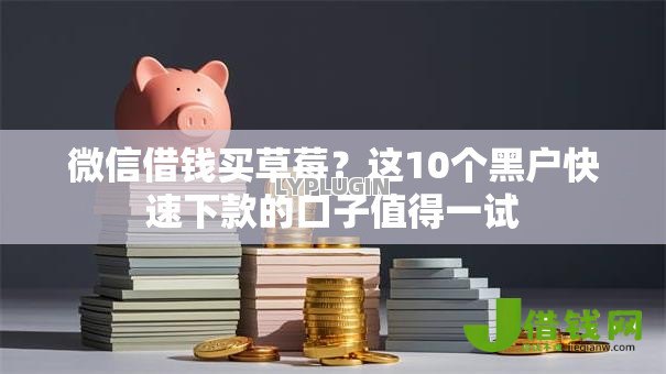 微信借钱买草莓?这10个黑户快速下款的口子值得一试 微信借钱买草莓?这10个黑户快速下款的口子值得一试