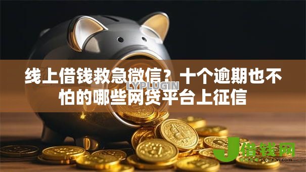 线上借钱救急微信？十个逾期也不怕的哪些网贷平台上征信