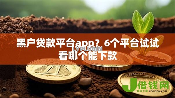 黑户贷款平台app?6个平台试试看哪个能下款 黑户贷款平台app?6个平台试试看哪个能下款