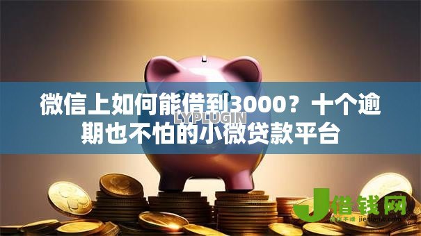 微信上如何能借到3000？十个逾期也不怕的小微贷款平台