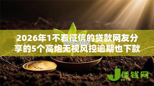 2026年1不看征信的贷款网友分享的5个高炮无视风控逾期也下款的口子我觉得不错！