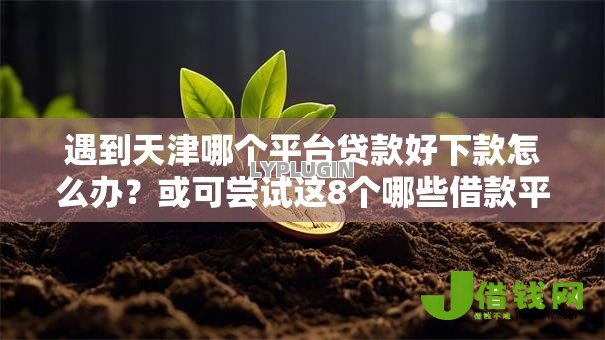 遇到天津哪个平台贷款好下款怎么办？或可尝试这8个哪些借款平台容易借到钱
