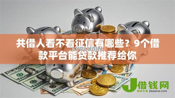共借人看不看征信有哪些?9个借款平台能贷款推荐给你 共借人看不看征信有哪些?9个借款平台能贷款推荐给你