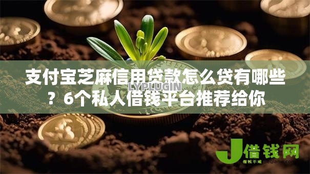 支付宝芝麻信用贷款怎么贷有哪些？6个私人借钱平台推荐给你