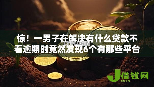 惊!一男子在解决有什么贷款不看逾期时竟然发现6个有那些平台可以借钱,事后分享了出来 惊!一男子在解决有什么贷款不看逾期时竟然发现6个有那些平台可以借钱,事后分享了出来