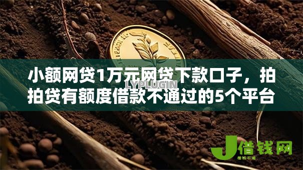 小额网贷1万元网贷下款口子，拍拍贷有额度借款不通过的5个平台介绍