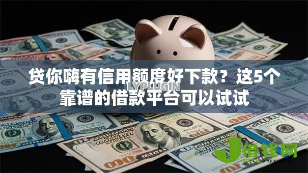 贷你嗨有信用额度好下款？这5个靠谱的借款平台可以试试