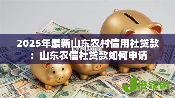 2025年最新山东农村信用社贷款：山东农信社贷款如何申请