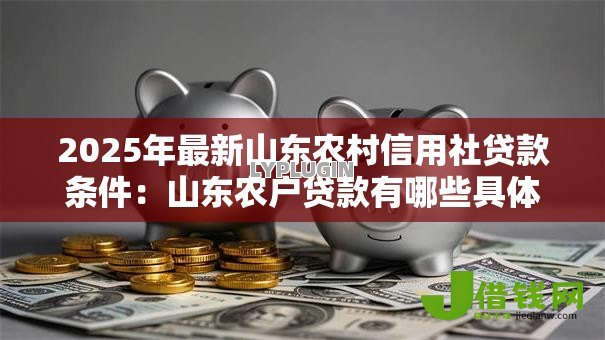 2025年最新山东农村信用社贷款条件：山东农户贷款有哪些具体要求