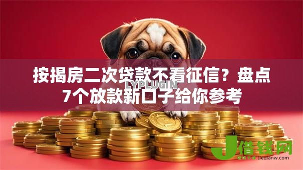 按揭房二次贷款不看征信?盘点7个放款新口子给你参考 按揭房二次贷款不看征信?盘点7个放款新口子给你参考