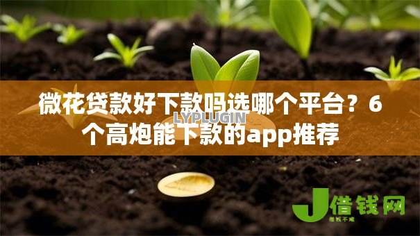 微花贷款好下款吗选哪个平台？6个高炮能下款的app推荐