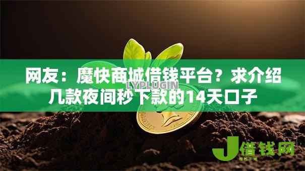 网友：魔快商城借钱平台？求介绍几款夜间秒下款的14天口子