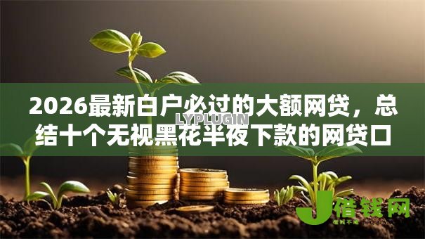 2026最新白户必过的大额网贷,总结十个无视黑花半夜下款的网贷口子! 2026最新白户必过的大额网贷,总结十个无视黑花半夜下款的网贷口子!