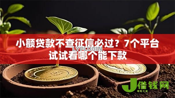 小额贷款不查征信必过？7个平台试试看哪个能下款