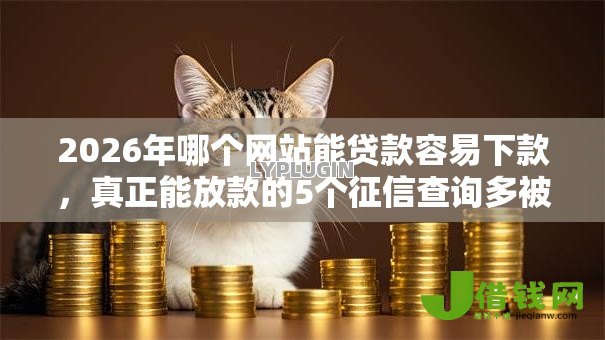 2026年哪个网站能贷款容易下款，真正能放款的5个征信查询多被封空有下款的小额短期网贷口子推荐