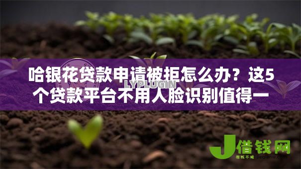哈银花贷款申请被拒怎么办?这5个贷款平台不用人脸识别值得一试 哈银花贷款申请被拒怎么办?这5个贷款平台不用人脸识别值得一试