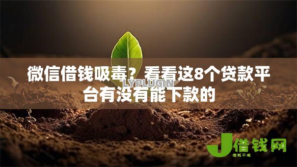 微信借钱吸毒?看看这8个贷款平台有没有能下款的 微信借钱吸毒?看看这8个贷款平台有没有能下款的