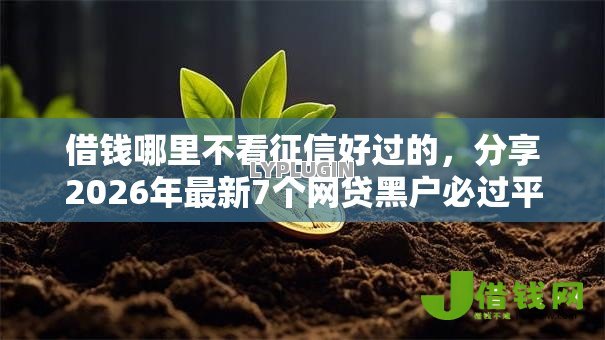 借钱哪里不看征信好过的,分享2026年最新7个网贷黑户必过平台 借钱哪里不看征信好过的,分享2026年最新7个网贷黑户必过平台