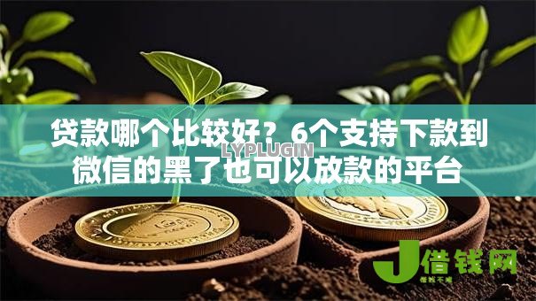 贷款哪个比较好?6个支持下款到微信的黑了也可以放款的平台 贷款哪个比较好?6个支持下款到微信的黑了也可以放款的平台
