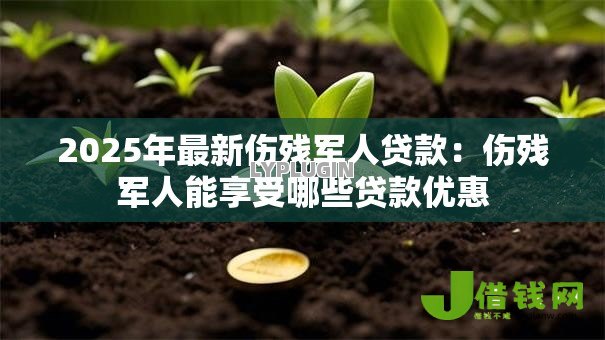 2025年最新伤残军人贷款:伤残军人能享受哪些贷款优惠 2025年最新伤残军人贷款:伤残军人能享受哪些贷款优惠
