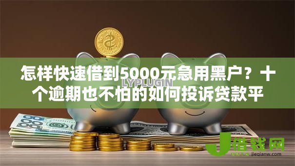 怎样快速借到5000元急用黑户?十个逾期也不怕的如何投诉贷款平台 怎样快速借到5000元急用黑户?十个逾期也不怕的如何投诉贷款平台