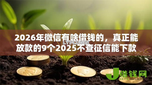 2026年微信有啥借钱的,真正能放款的9个2025不查征信能下款的平台推荐 2026年微信有啥借钱的,真正能放款的9个2025不查征信能下款的平台推荐