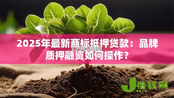 2025年最新商标抵押贷款：品牌质押融资如何操作？