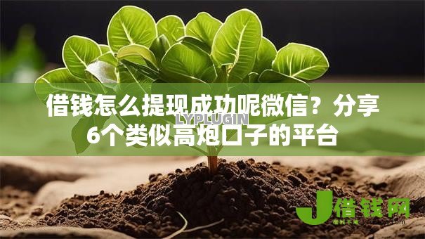 借钱怎么提现成功呢微信?分享6个类似高炮口子的平台 借钱怎么提现成功呢微信?分享6个类似高炮口子的平台