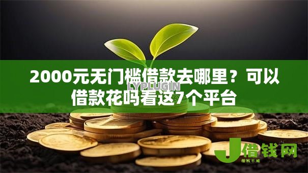 2000元无门槛借款去哪里？可以借款花吗看这7个平台