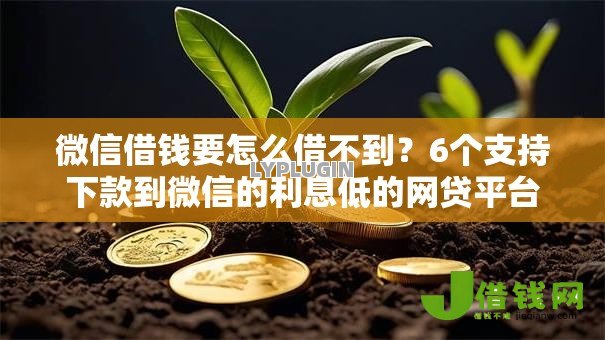 微信借钱要怎么借不到？6个支持下款到微信的利息低的网贷平台