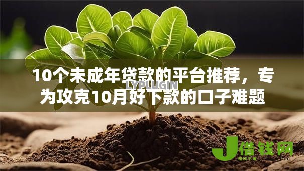 10个未成年贷款的平台推荐,专为攻克10月好下款的口子难题 10个未成年贷款的平台推荐,专为攻克10月好下款的口子难题