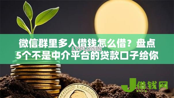 微信群里多人借钱怎么借？盘点5个不是中介平台的贷款口子给你参考