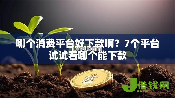 哪个消费平台好下款啊？7个平台试试看哪个能下款
