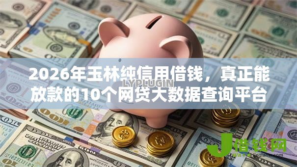 2026年玉林纯信用借钱,真正能放款的10个网贷大数据查询平台推荐 2026年玉林纯信用借钱,真正能放款的10个网贷大数据查询平台推荐