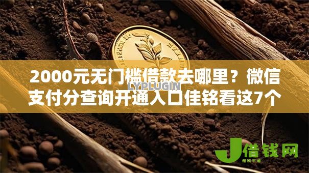 2000元无门槛借款去哪里？微信支付分查询开通入口佳铭看这7个平台