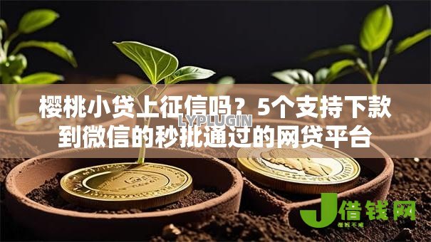 樱桃小贷上征信吗?5个支持下款到微信的秒批通过的网贷平台 樱桃小贷上征信吗?5个支持下款到微信的秒批通过的网贷平台