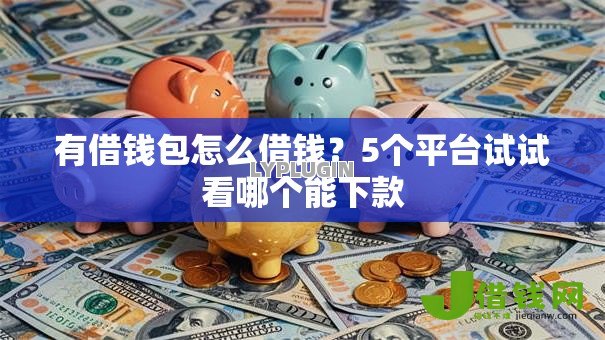 有借钱包怎么借钱?5个平台试试看哪个能下款 有借钱包怎么借钱?5个平台试试看哪个能下款