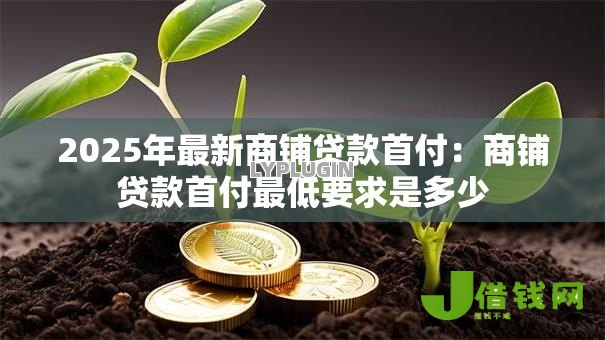 2025年最新商铺贷款首付:商铺贷款首付最低要求是多少 2025年最新商铺贷款首付:商铺贷款首付最低要求是多少