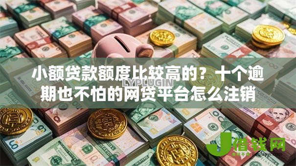 小额贷款额度比较高的？十个逾期也不怕的网贷平台怎么注销