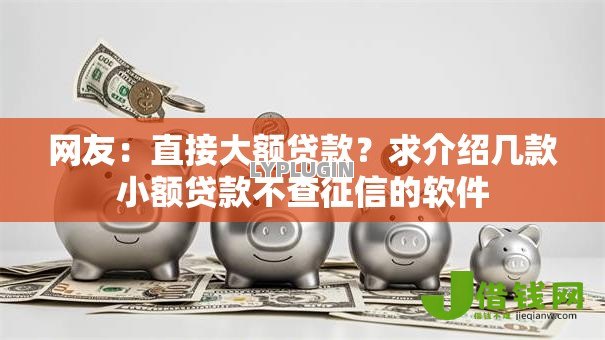 网友:直接大额贷款?求介绍几款小额贷款不查征信的软件 网友:直接大额贷款?求介绍几款小额贷款不查征信的软件