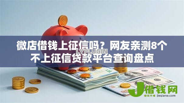 微店借钱上征信吗？网友亲测8个不上征信贷款平台查询盘点