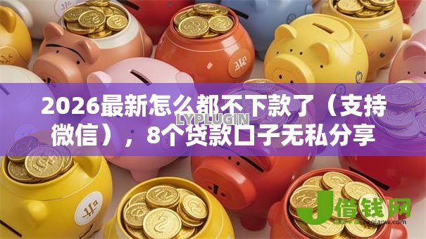 2026最新怎么都不下款了(支持微信),8个贷款口子无私分享 2026最新怎么都不下款了(支持微信),8个贷款口子无私分享