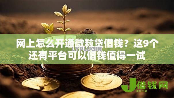 网上怎么开通微粒贷借钱?这9个还有平台可以借钱值得一试 网上怎么开通微粒贷借钱?这9个还有平台可以借钱值得一试