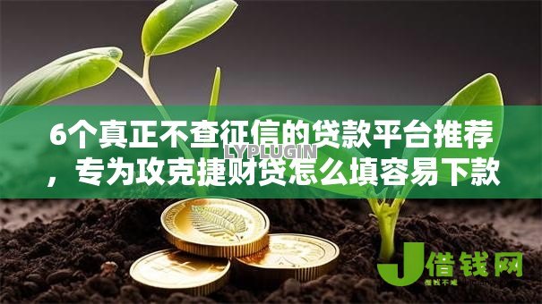 6个真正不查征信的贷款平台推荐,专为攻克捷财贷怎么填容易下款难题 6个真正不查征信的贷款平台推荐,专为攻克捷财贷怎么填容易下款难题