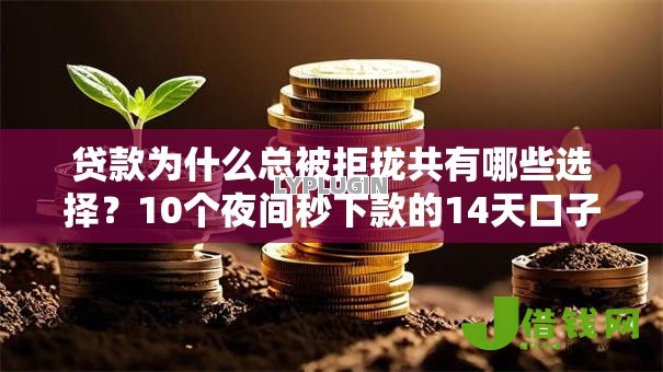 贷款为什么总被拒拢共有哪些选择？10个夜间秒下款的14天口子详解