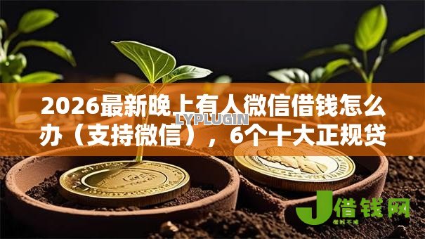 2026最新晚上有人微信借钱怎么办(支持微信),6个十大正规贷款平台排名不分先后无私分享 2026最新晚上有人微信借钱怎么办(支持微信),6个十大正规贷款平台排名不分先后无私分享