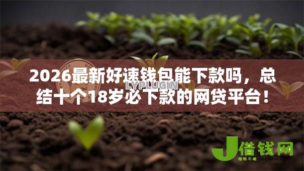 2026最新好速钱包能下款吗,总结十个18岁必下款的网贷平台! 2026最新好速钱包能下款吗,总结十个18岁必下款的网贷平台!