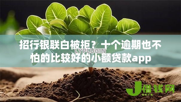 招行银联白被拒？十个逾期也不怕的比较好的小额贷款app